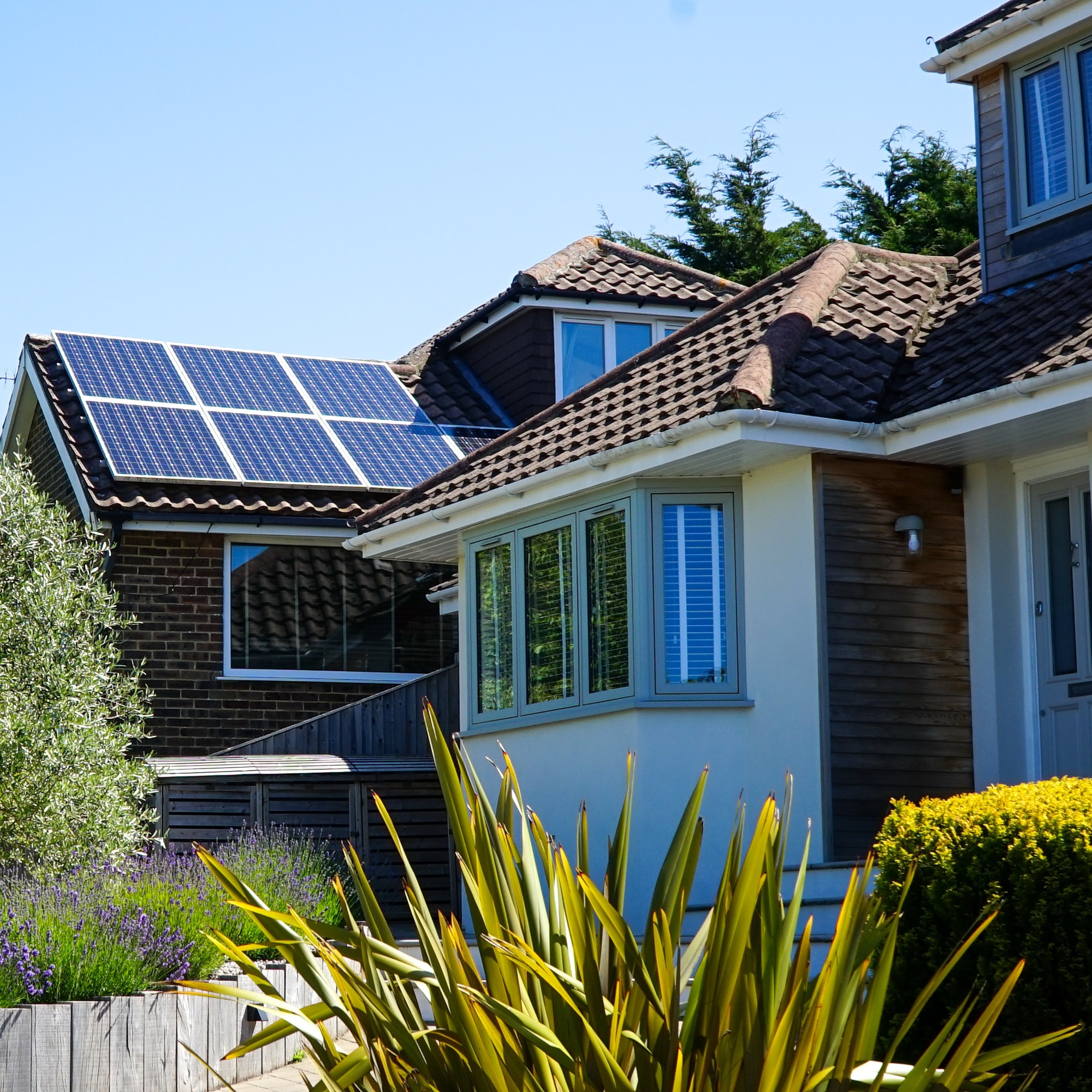 trees and solar panels